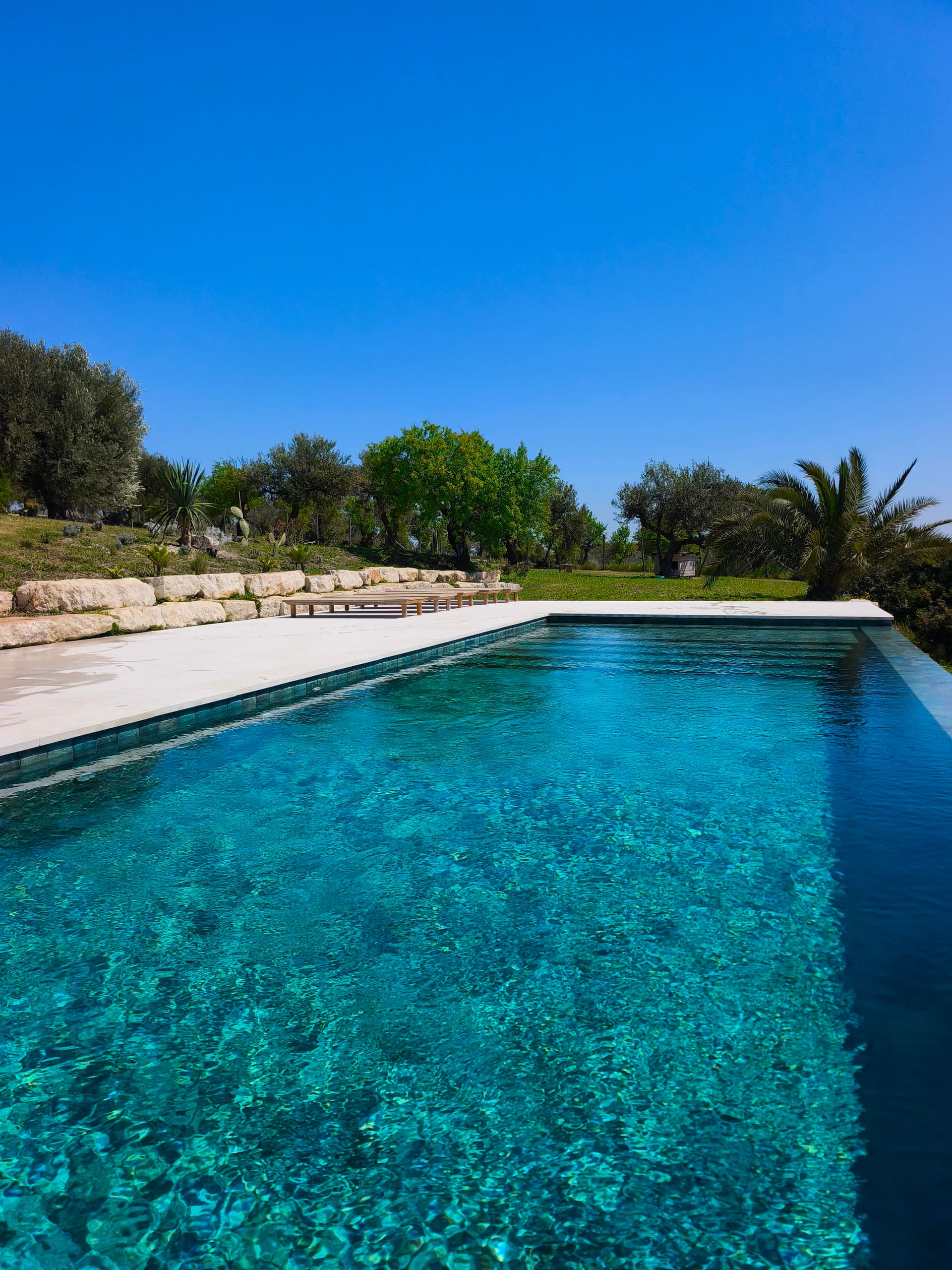 Pool with olive trees