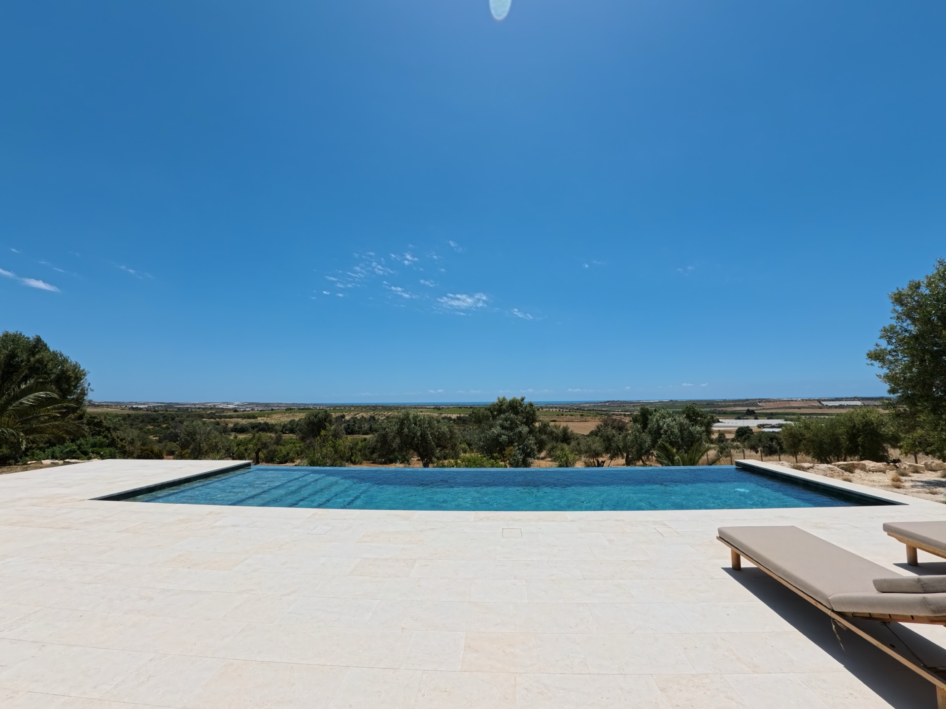 Pool deck with sunbeds beneath ancient olive trees